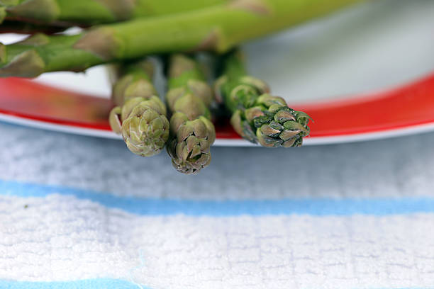 Steamed asparagus spears stock photo