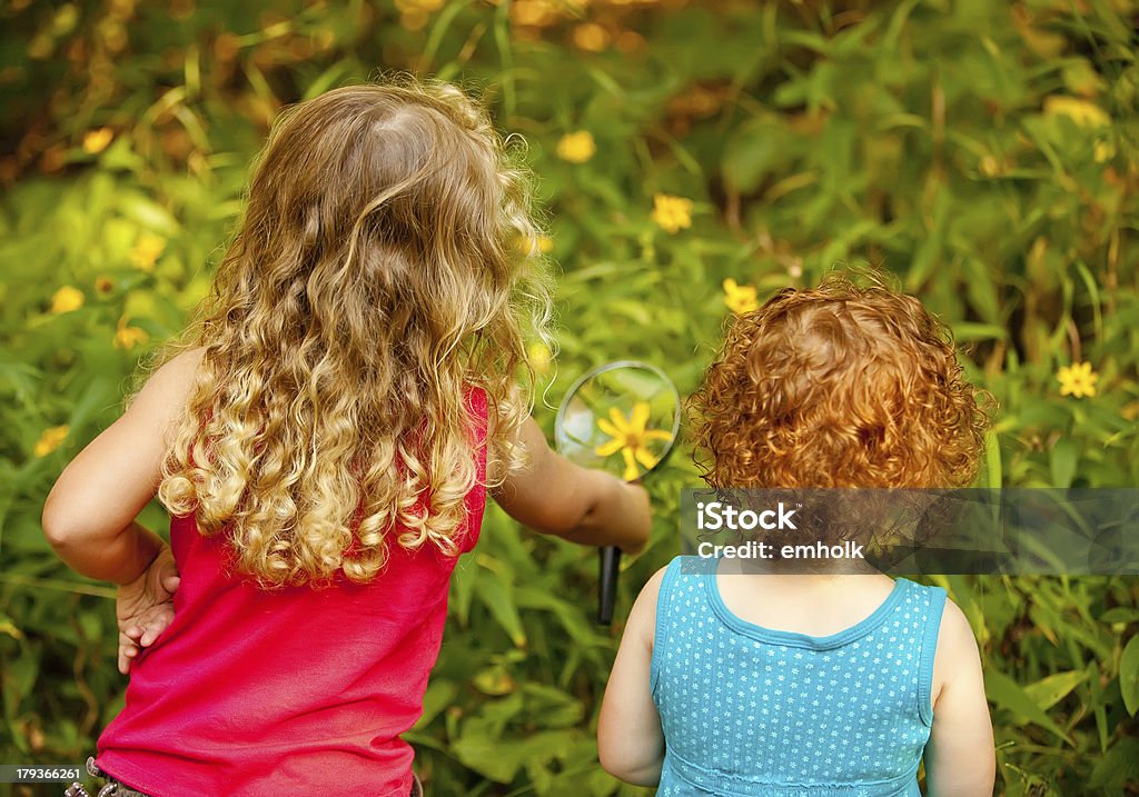 Filles à la recherche de fleur sauvage avec une loupe - Photo de Enfant libre de droits