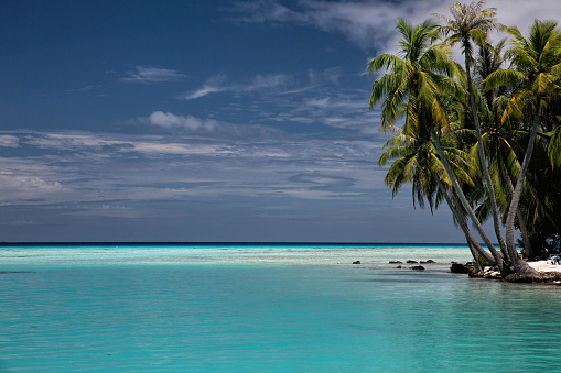 Sunny tropical white sand beach with coco palms and the turquoise sea on Caribbean island. Summer vacation and tropical beach concept.