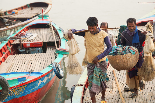 Fishermen Catching Hilsha Fish Using Fishing Net From the Padma River (Life of a traditional fishermen)\n\nPadma River, Dhaka, Bangladesh (04-07-2022)