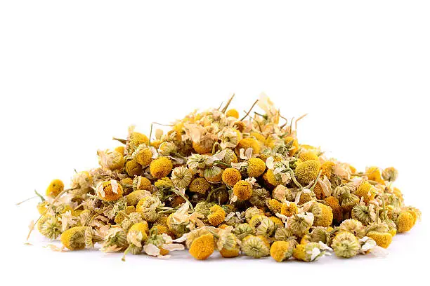 Pile of medicinal dried yellow chamomile herb buds on white background
