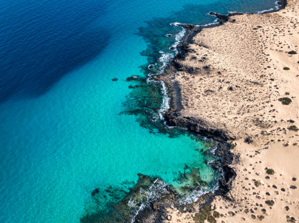 Beautiful Corralejo Coast and Sand Dunes on Fuerteventura Island Canary Islands Beautiful beach and coastline of the Corralejo Sand Dunes Nature Park on the north coast of Fuerteventura. Aerial view from above to the crystal clear turquoise waters of the Atlantic Ocean Coast. Corralejo, Fuerteventura Island, Canary Islands, Spain - Africa. nature park stock pictures, royalty-free photos & images