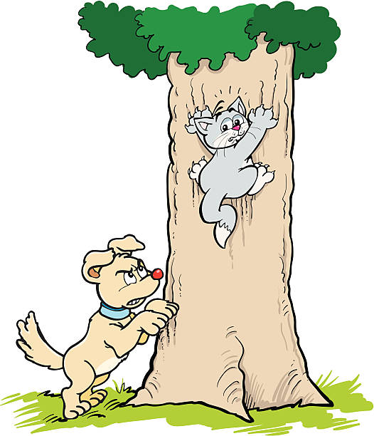 70 Cat Dog Fight Illustrations & Clip Art - iStock | Cat dog play 70 Cat Dog Fight Illustrations & Clip Art - iStock | Cat dog play