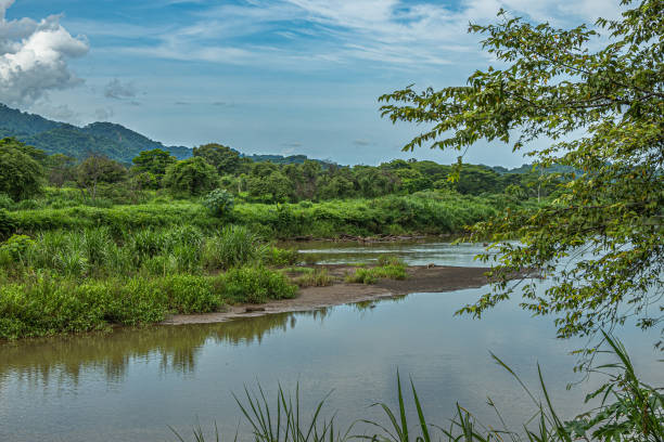 istock Tarcoles river, Luganillas, Costa Rica 1793731359