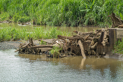 Costa Rica, Luganillas - July 22, 2023: Tarcoles River. Piled up dead tree branches and stumps stuck against pontoon in front of green shoreline. Brownish water where crocodiles hide