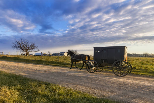 istock Amish Buggy and morning landscape 1793732423