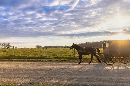 Amish buggy at sunrise