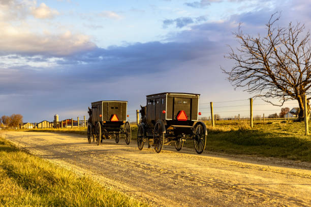 istock Two Buggies on gravrl road morning 1793735603