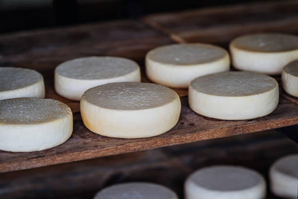 istock Canasta cheese stock 1793747565