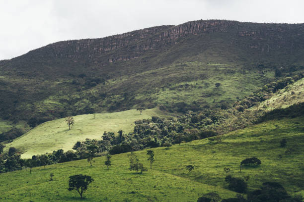 istock Landscape of Serra da Canastra Brazil 1793747575