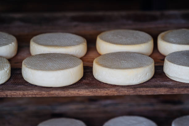 istock Canasta cheese stock 1793747578