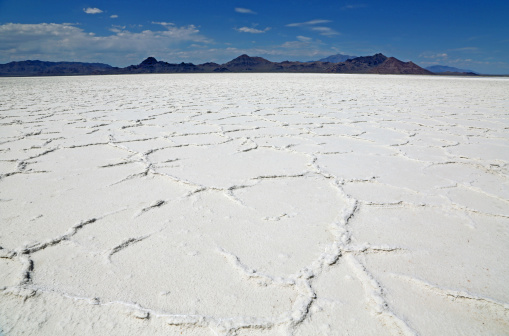 Landscape in salt desert, Utah