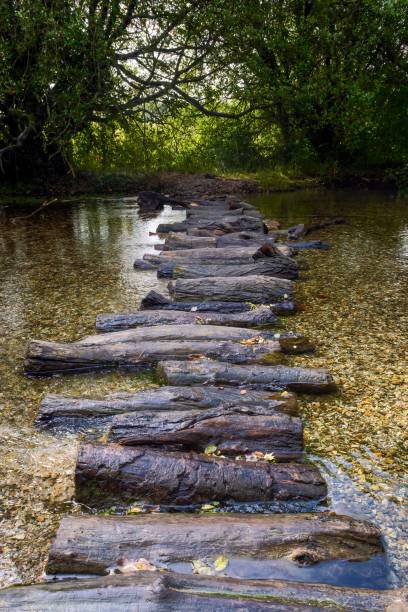 istock Traditional Wooden-logs forest walkway 1793783584