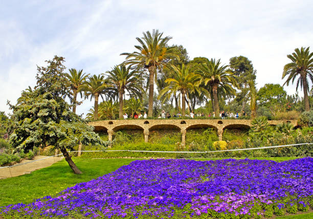 park guell w barcelonie. część wpisana na listę światowego dziedzictwa unesco "dzieła antonio gaudiego" w hiszpanii - antonio gaudi outdoors horizontal barcelona zdjęcia i obrazy z banku zdjęć