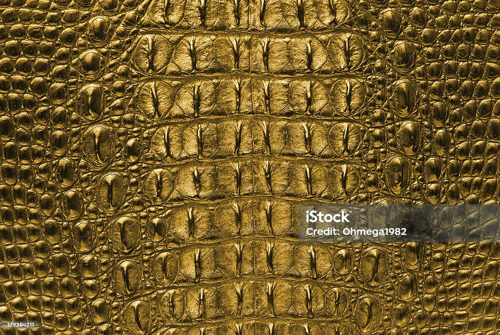 Crocodile bone skin texture background. This image of Freshwater Crocodile "Crocodylus siamensis".This skin is very classic and beauty. Crocodile Stock Photo