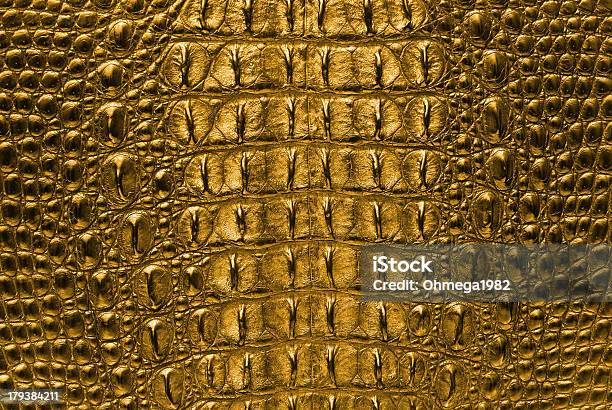 Crocodile Bone Skin Texture Background Stock Photo - Download Image Now - Crocodile, Yellow, Gold Colored
