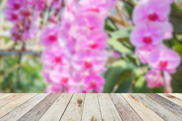 istock Empty wood table top with blur orchid garden background for product display 1793856811