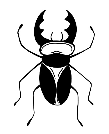 Big stag beetle with horns in doodle style. Vector illustration