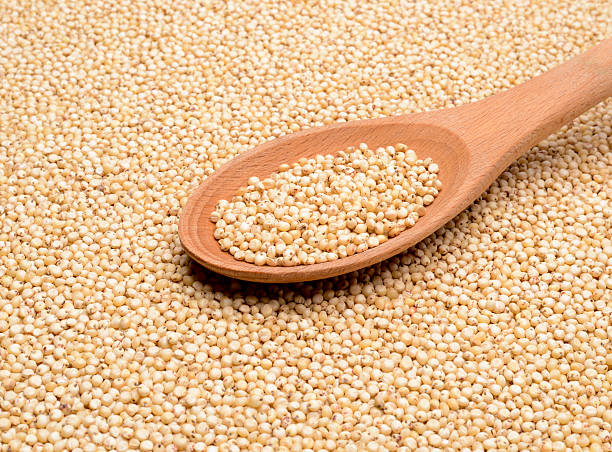 istock Organic Sorghum Grains 179387208