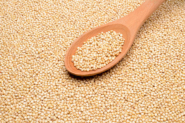 istock Organic Sorghum Grains 179387222