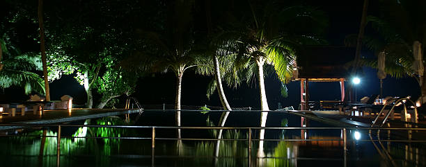 coconut palm trees que refleja en el agua de la piscina - water rainforest frond tropical climate fotografías e imágenes de stock