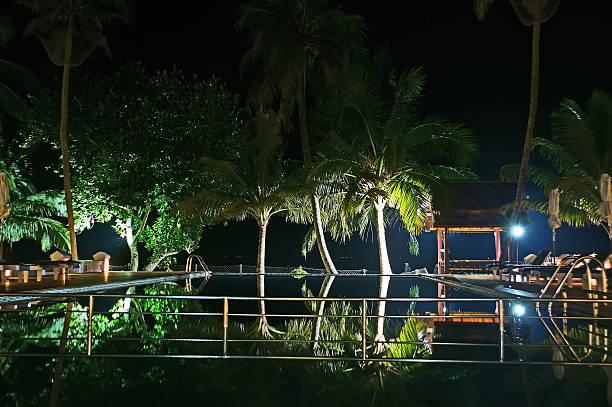 istock coconut palm trees reflecting in the water pool 179387267