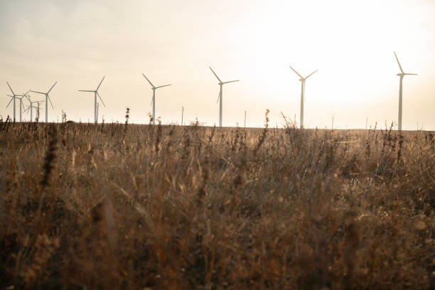 istock Wind turbines farm in autumn sunset light. 1793884851