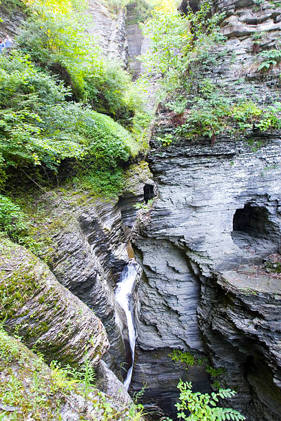 istock Finger lakes region waterfall in the summer 179389230