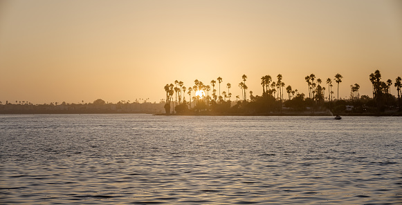 Calm sea surface and tropical sunset behind palm trees in Mission Bay, San Diego