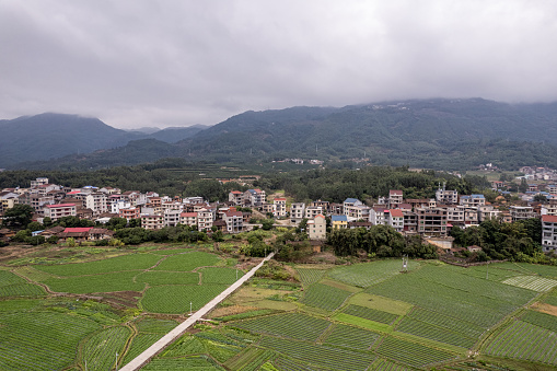 Aerial view of green farmland in front of densely populated rural houses