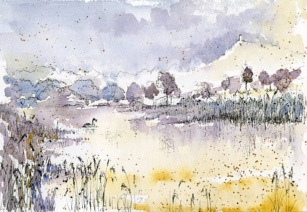wodne krajobraz w wielkiej brytanii - glastonbury stock illustrations