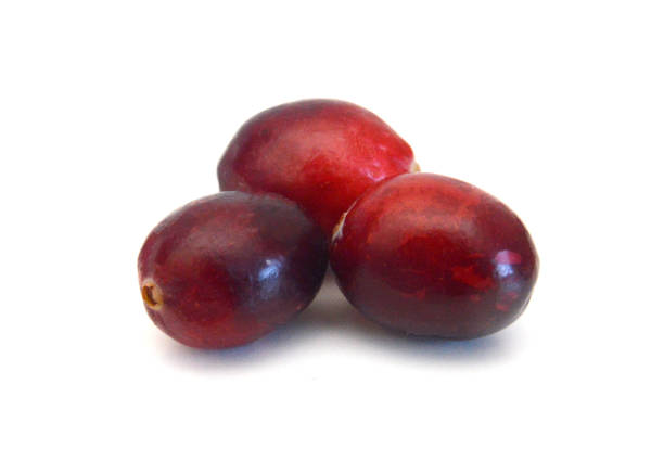 istock Cranberry isolated on white background 1793916679
