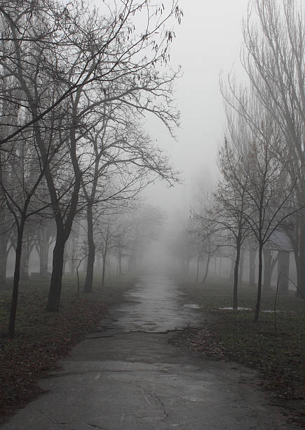istock path at foggy weather 179393176