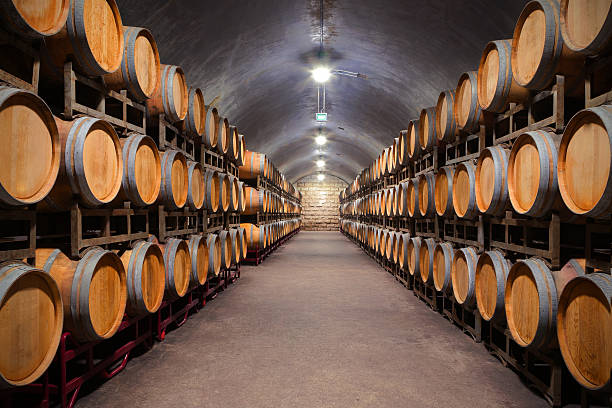 subterráneo bodega de vinos - winery wine cellar barrel fotografías e imágenes de stock