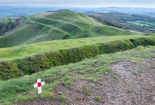 On November 11th,on Armistice day,a memorial tribute,red poppy symbol,placed in the soil atop the ancient Hill Fort,by an anonymous hill walker,at sunset,southern Malvern hills beyond.