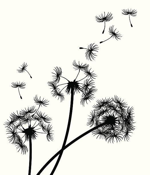 Dandelions blowing in the wind vector art illustration