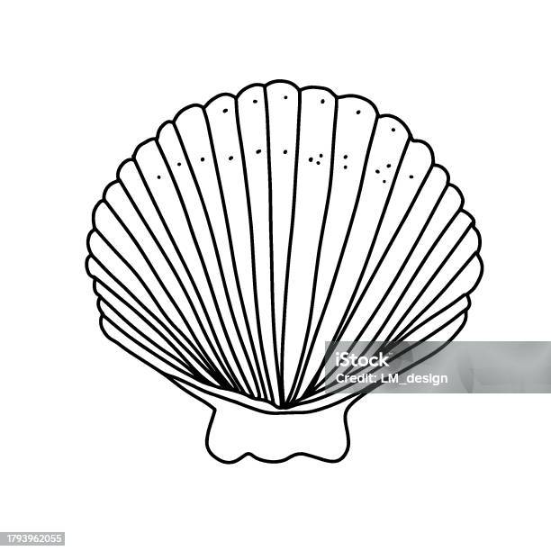 Sea Shell Design Guide Line Seashell Doodle Line Art Design Element For Coloring Page Teaching ...