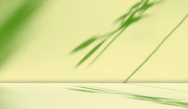 istock Green Background Shadow Luxury Award Elagant Texture Gradient Paper Wall Floor Fabric Pattern Grunge Studio Product Backdrop Podium Empty Bg Kitchen Table Two Tone Pastel Platform Presentation Place. 1793963177