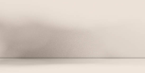 Autumn Background Abstract Beige Light Shadow Leaf Pastel Wallpaper Table Prodcut Elegant Display Pattern Summer Scene Minimal Nature Plant Empty Desk Overlay Flora Podium Cosmetic Studio Bg 3d.