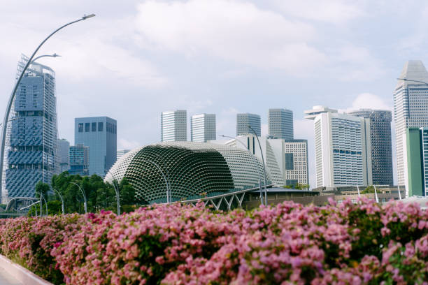 Singapore City Skyline at Esplanade with Pink Bougenville Flower stock photo