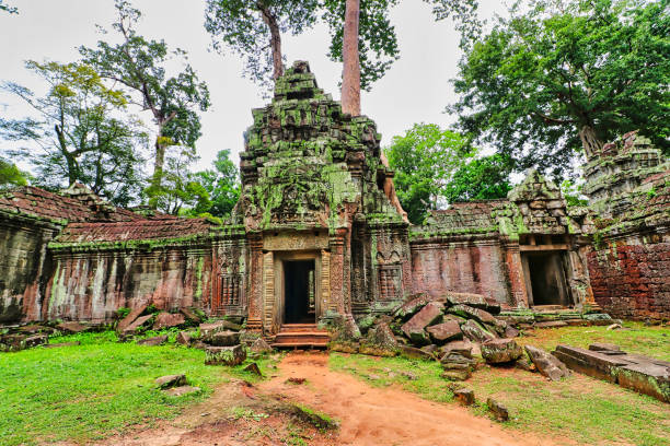 ta phrom tree temple of tomb raider fama - bayon phrom foto e immagini stock