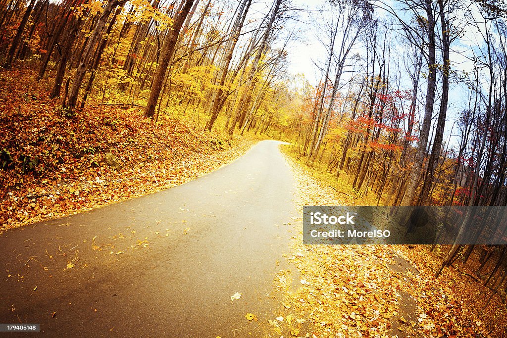 Jesień kraju Droga w lesie - Zbiór zdjęć royalty-free (Appalachy)