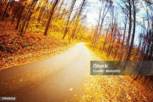 Jesień Kraju Droga W Lesie - zdjęcia stockowe i więcej obrazów Appalachy - Appalachy, Asfalt, Bez ludzi