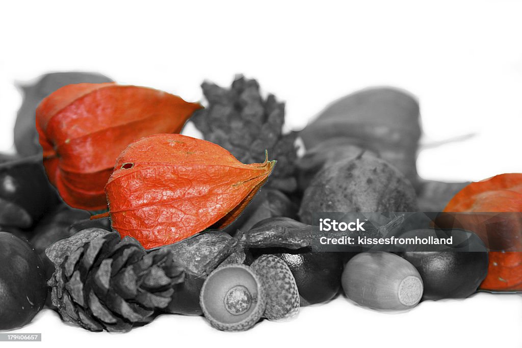 Decoração de outono com lanternas chinesas, Physalis alkekengi - Foto de stock de Avelã royalty-free