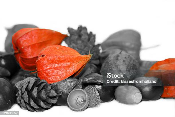 Decoração De Outono Com Physalis Alkekengi Lanterns Chinês - Fotografias de stock e mais imagens de Ao Ar Livre