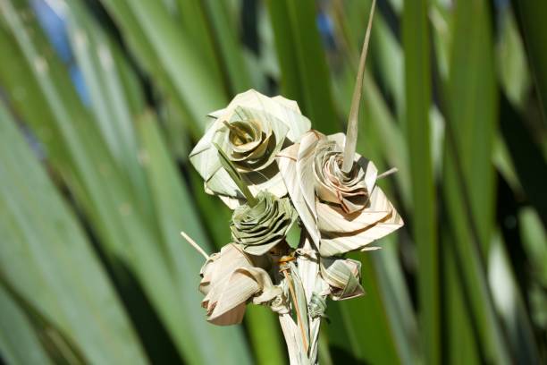 Bunch of Putiputi Flower Woven from New Zealand Flax A Putiputi is the Maori Te Reo name for a woven flower made from the New Zealand Flax leaves. maori weaving artwork stock pictures, royalty-free photos & images
