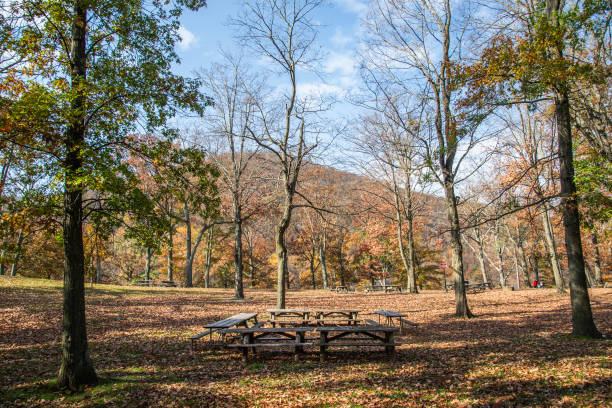 istock Picnic tables in the mountains 1794095316