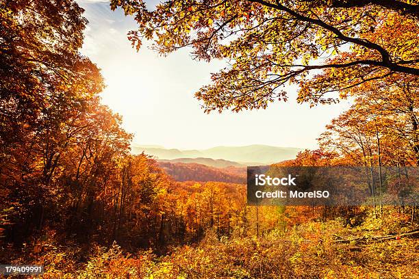 Photo libre de droit de Magnifique Paysage Dautomne banque d'images et plus d'images libres de droit de Tennessee - Tennessee, Automne, Parc National des Great Smoky Mountains