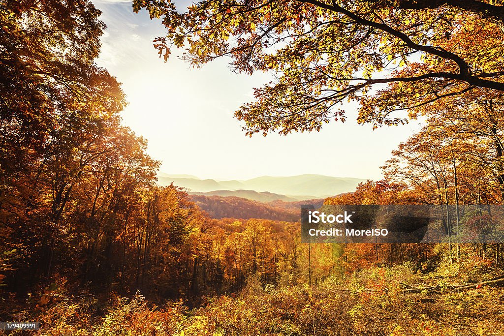아름다운 가을 풍경 - 로열티 프리 테네시 스톡 사진