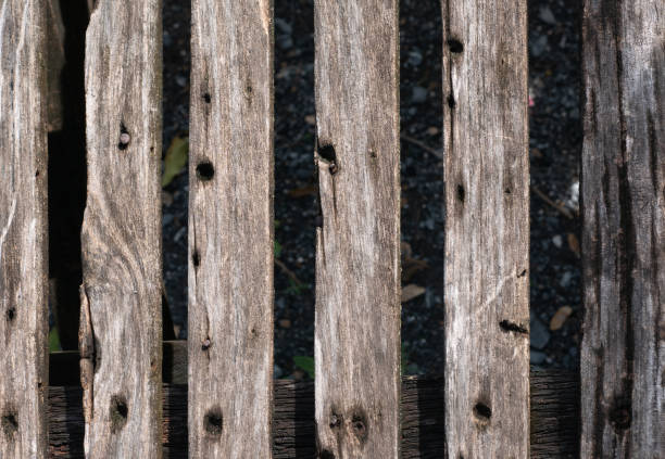 istock Smooth planks glued together in a straight line. 1794104744
